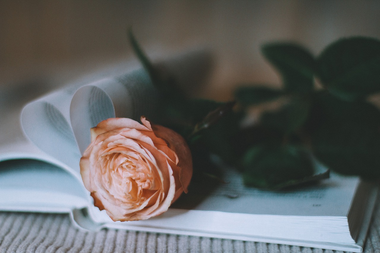 rose, flower, book-6931259.jpg